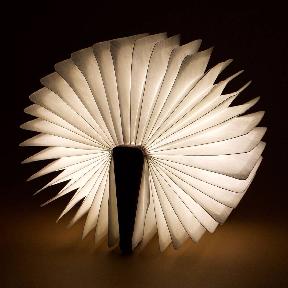 Legami Libro Luminoso - Light Book Vendita