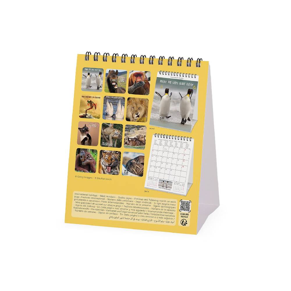 Legami Calendario da Tavolo 2025 - 12 x 14,5 cm In Saldo