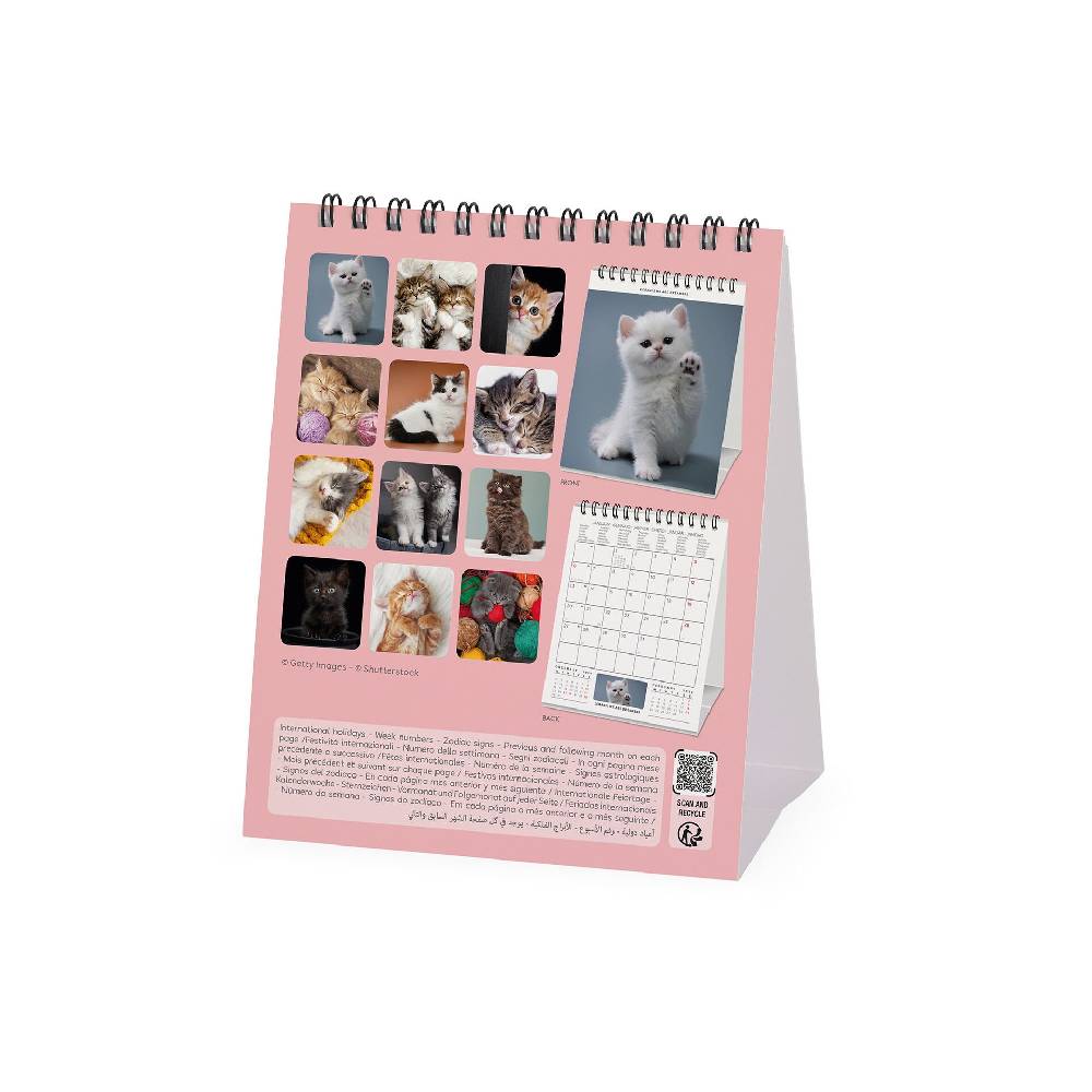 Legami Calendario da Tavolo 2025 - 12 x 14,5 cm Nuova