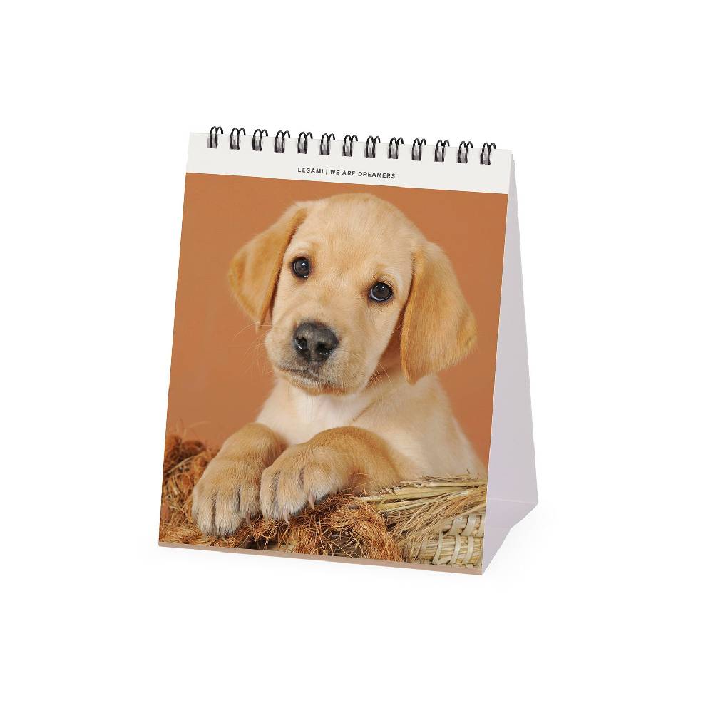 Legami Calendario da Tavolo 2025 - 12 x 14,5 cm Qualità