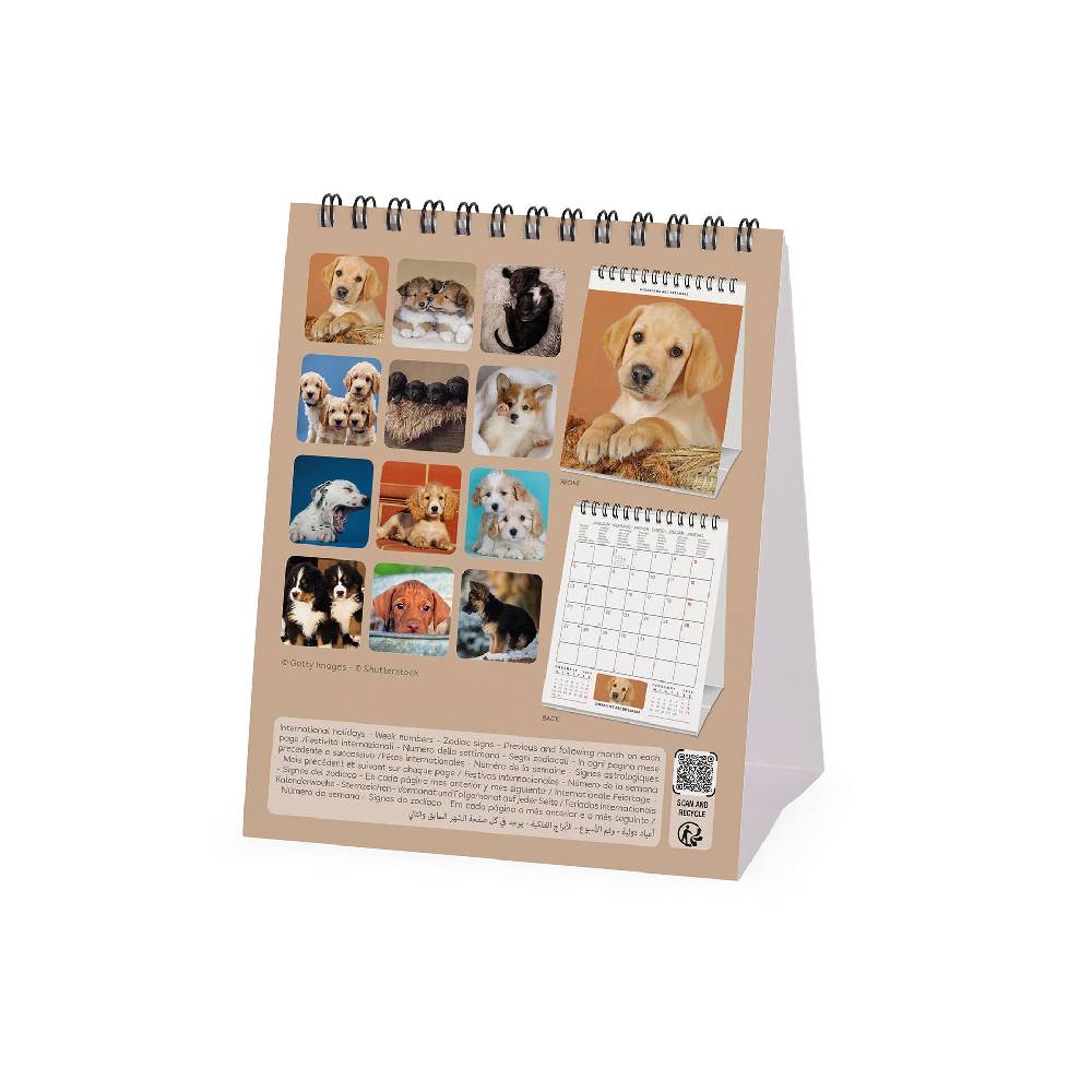 Legami Calendario da Tavolo 2025 - 12 x 14,5 cm Qualità