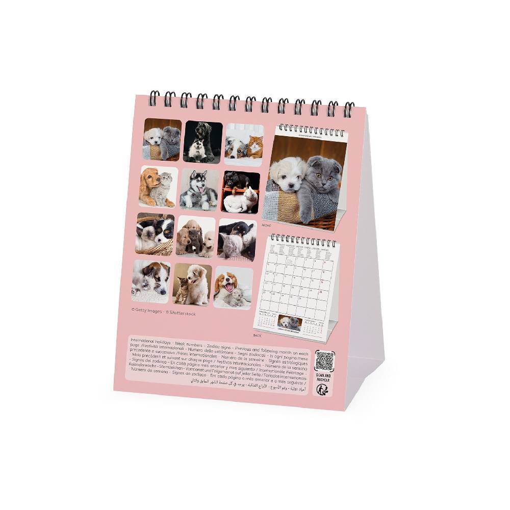 Legami Calendario da Tavolo 2025 - 12 x 14,5 cm Vendita
