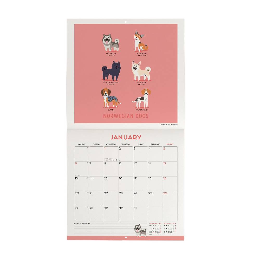 Legami Calendario da Parete 2025 - 30 x 29 cm Convenienza