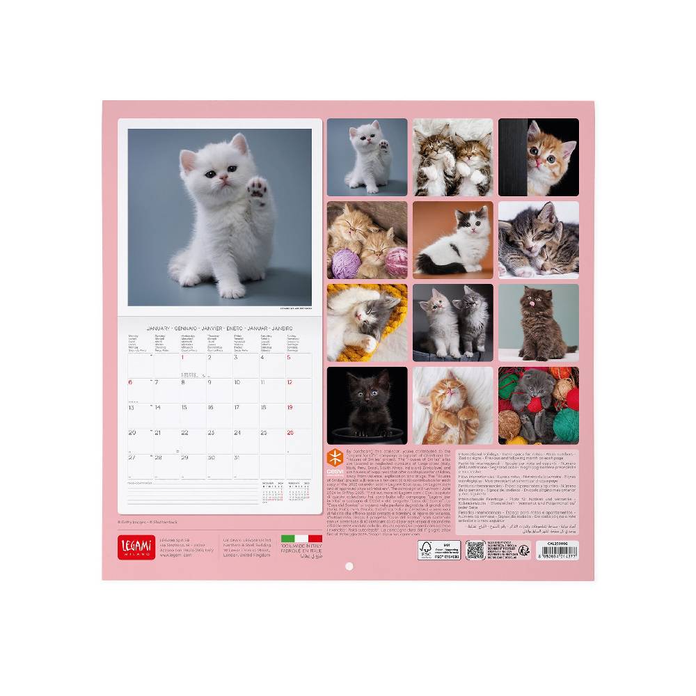 Legami Calendario da Parete 2025 - 30 x 29 cm Offerta