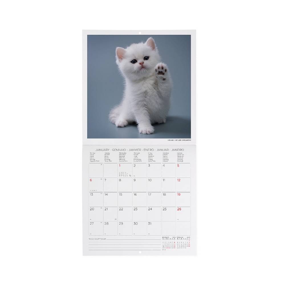 Legami Calendario da Parete 2025 - 18 x 18 cm Outlet