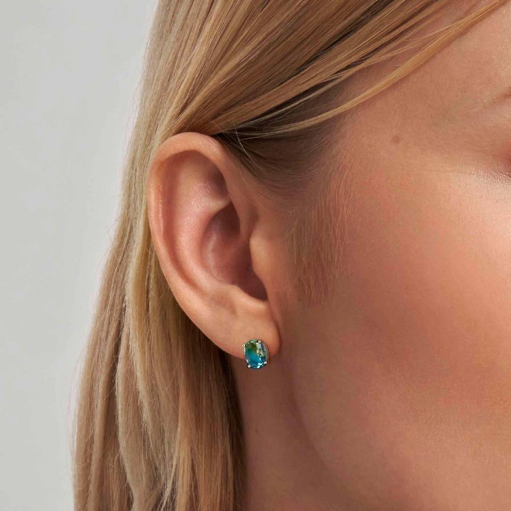 Nomination Orecchini Symbiosi in argento con pietre bicolor Online