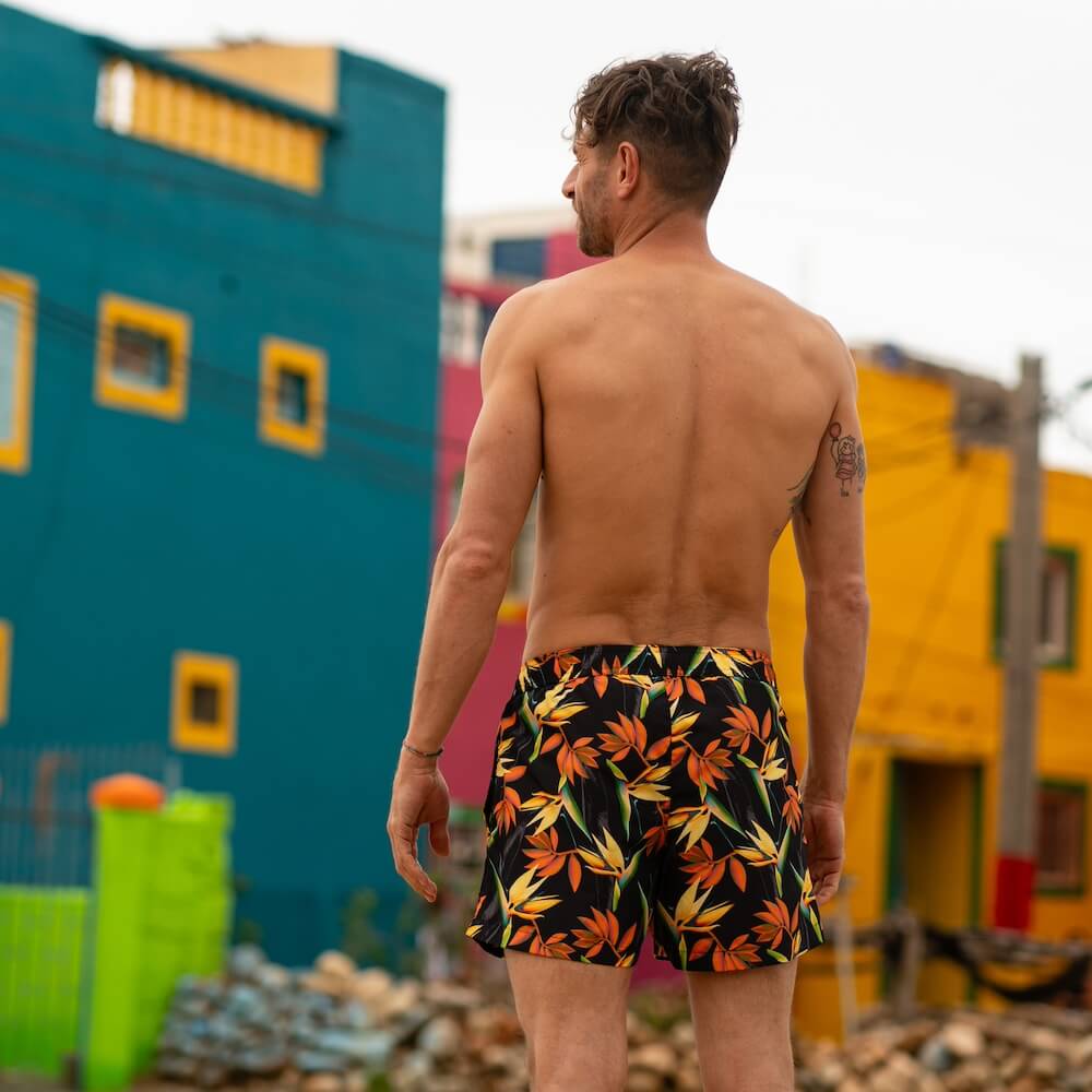 Seay / Costume da Bagno Corto Nero Bird of Paradise 2025