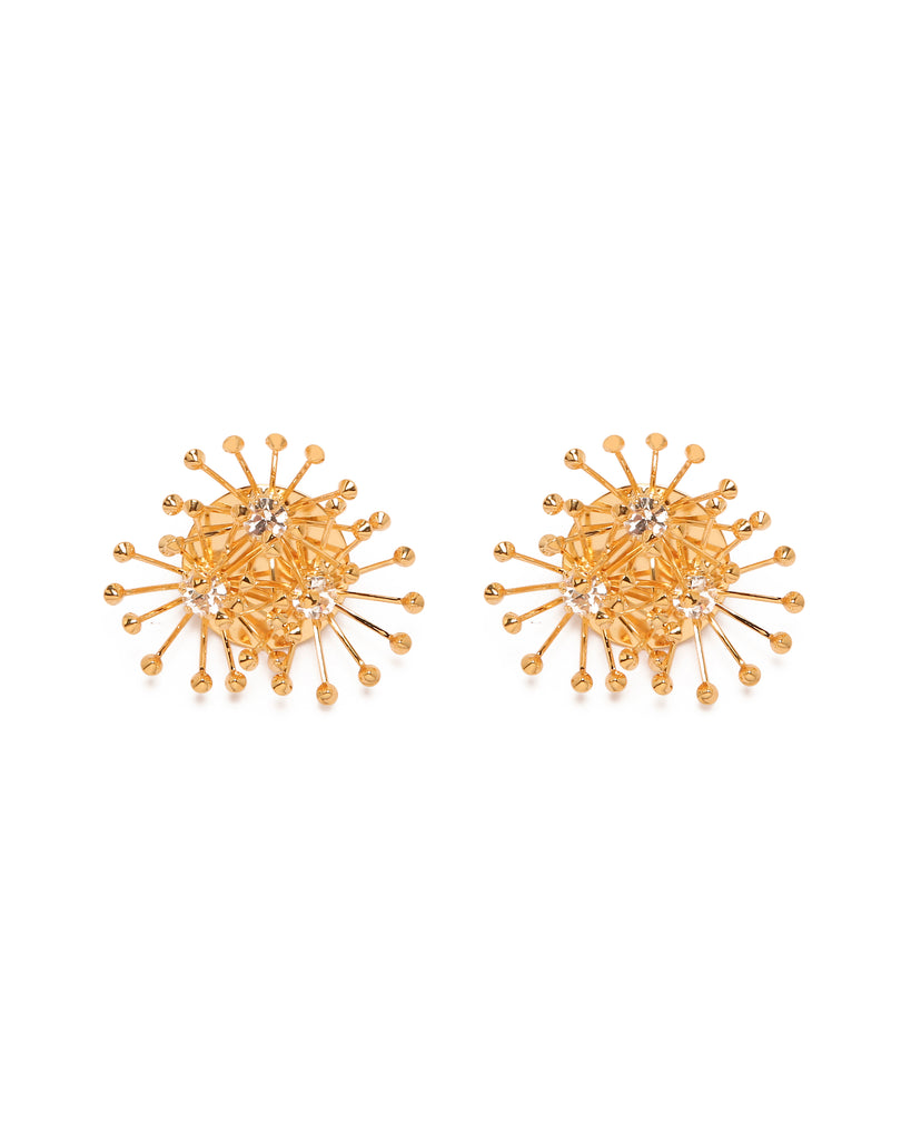 Silvia Gnecchi Anemone Online