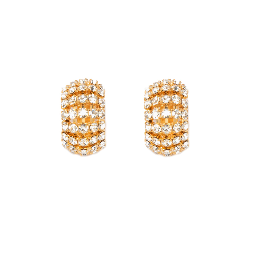 Silvia Gnecchi Giugi earrings